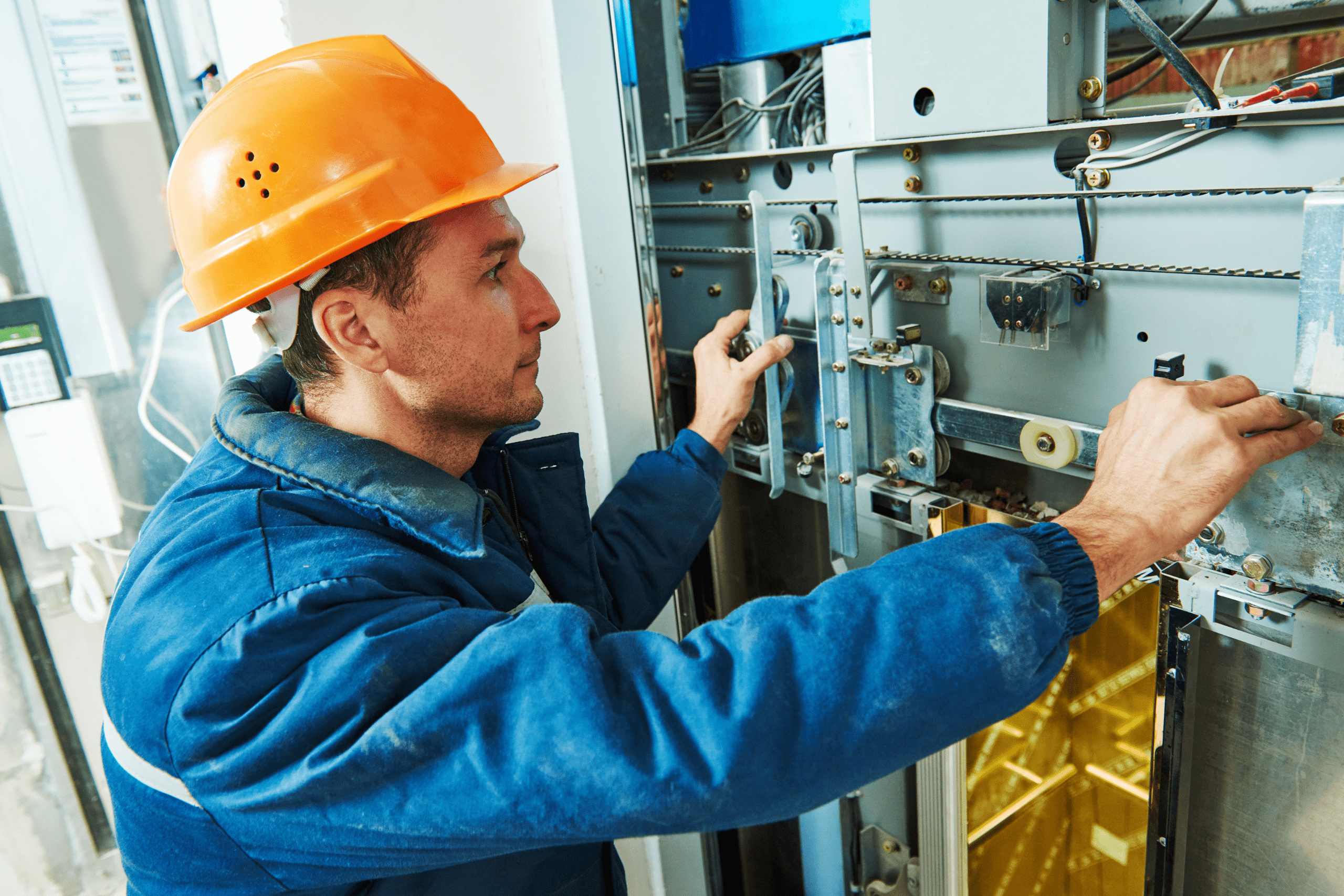 VERIFICATION SERVICE